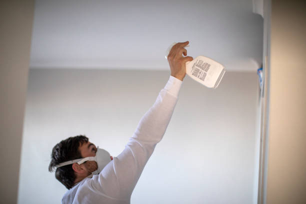 Best Fast Mold Removal  in Hillsville, VA