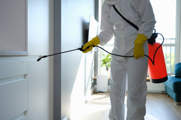 Best Residential Mold Removal  in Hillsville, VA