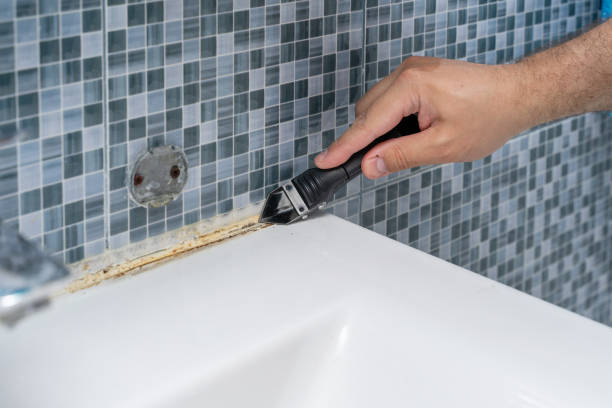 Best Professional Mold Removal  in Hillsville, VA